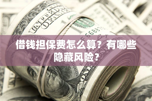 武汉借钱担保费怎么算？有哪些隐藏风险？
