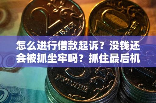 武汉怎么进行借款起诉？没钱还会被抓坐牢吗？抓住最后机会！