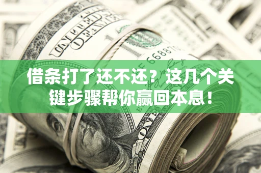 武汉借条打了还不还？这几个关键步骤帮你赢回本息！
