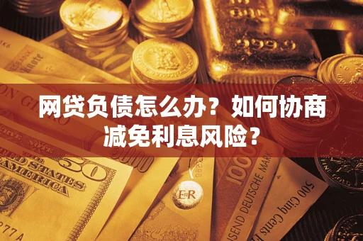 武汉网贷负债怎么办？如何协商减免利息风险？