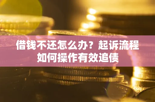 武汉借钱不还怎么办？起诉流程如何操作有效追债