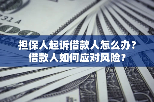 武汉担保人起诉借款人怎么办？借款人如何应对风险？