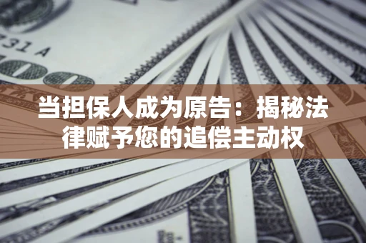 武汉当担保人成为原告：揭秘法律赋予您的追偿主动权