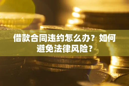 武汉借款合同违约怎么办？如何避免法律风险？