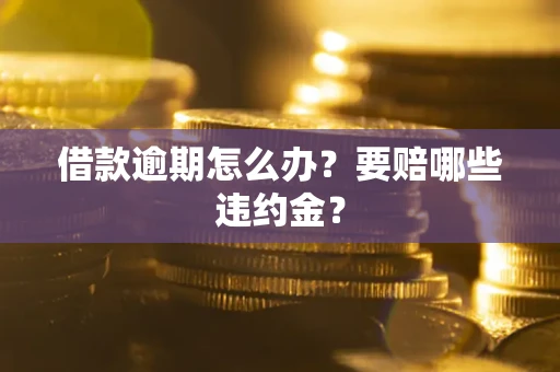 武汉借款逾期怎么办？要赔哪些违约金？